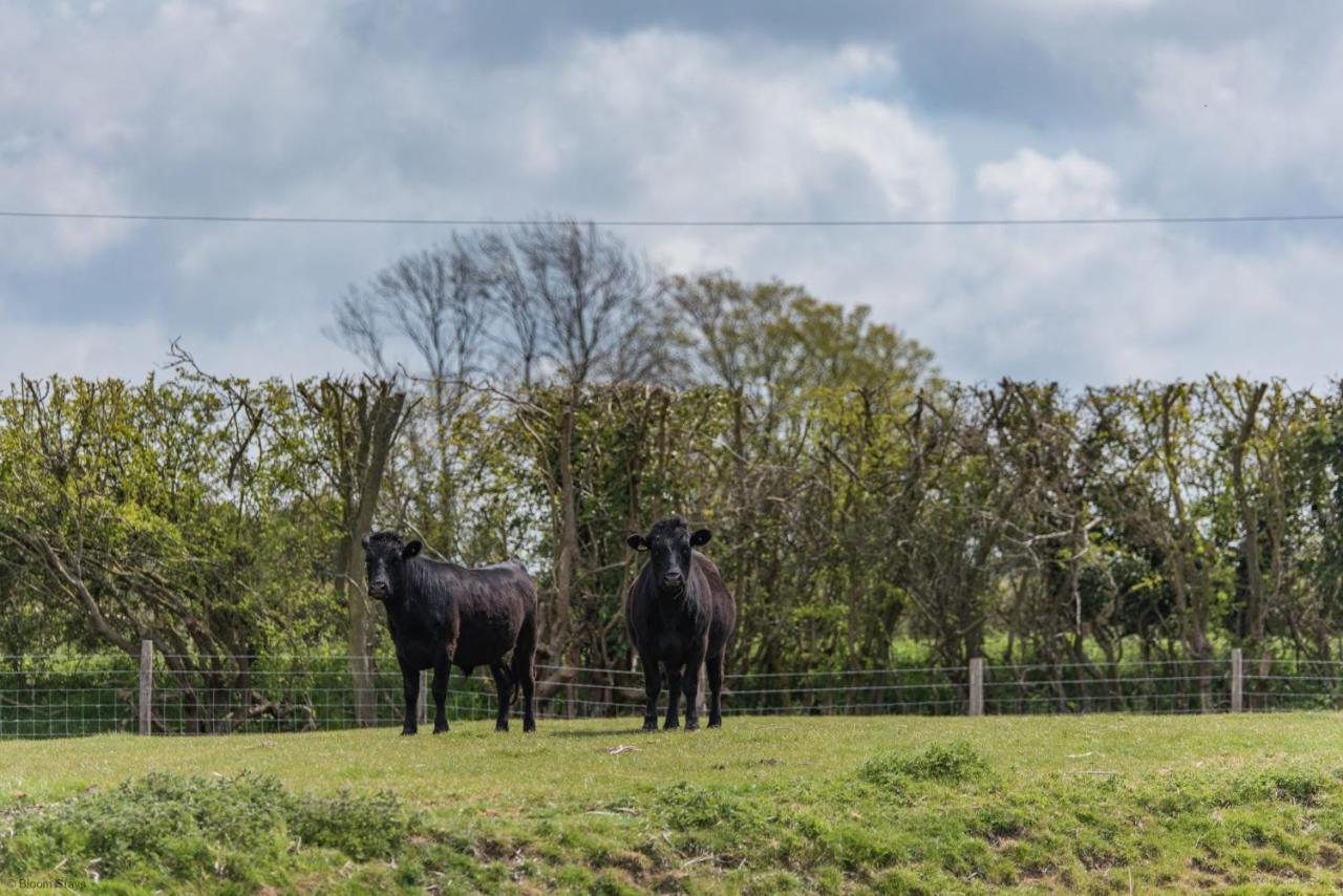 Romney Marsh Huts By Bloom Stays Ashford  Extérieur photo
